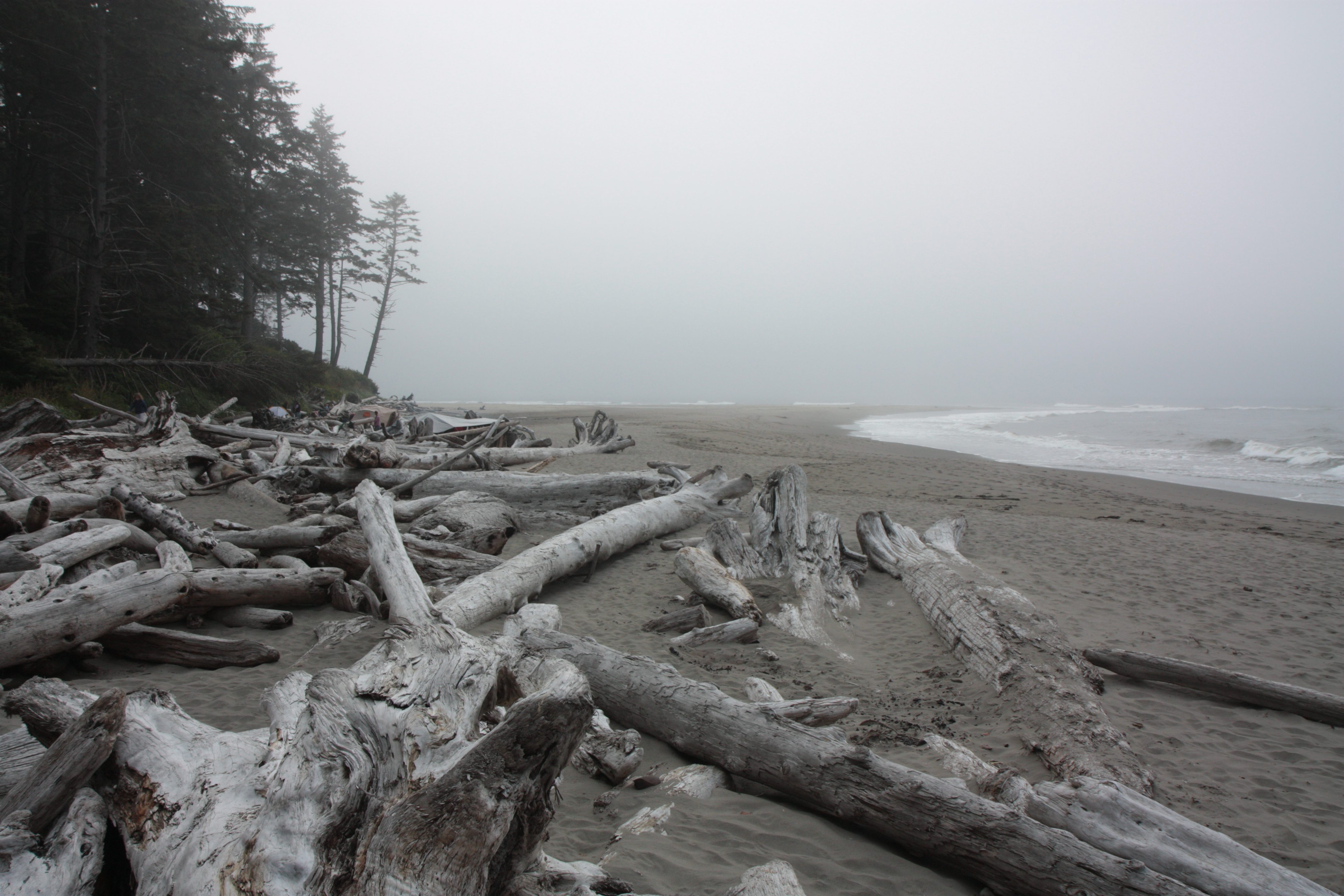 Olympic NP